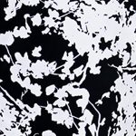 Dezen b